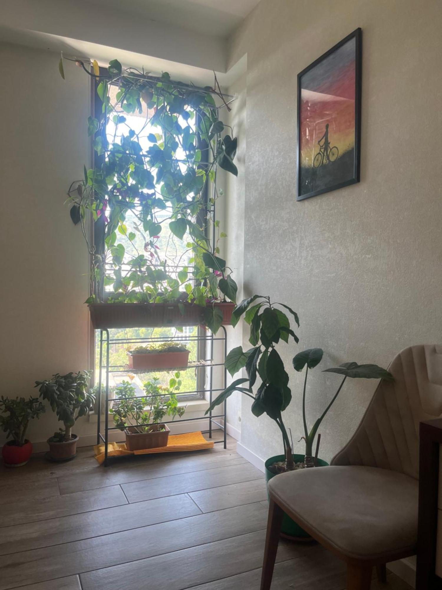 Panorama Khiliani Daire Tiflis Dış mekan fotoğraf